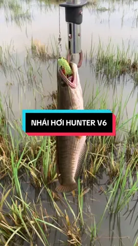 Nhái hơi Hunter v6 siêu  nhạy cá lóc chẽm mú#docaulamtrang #nhaihoif1f2 #caulure #xuhuong 