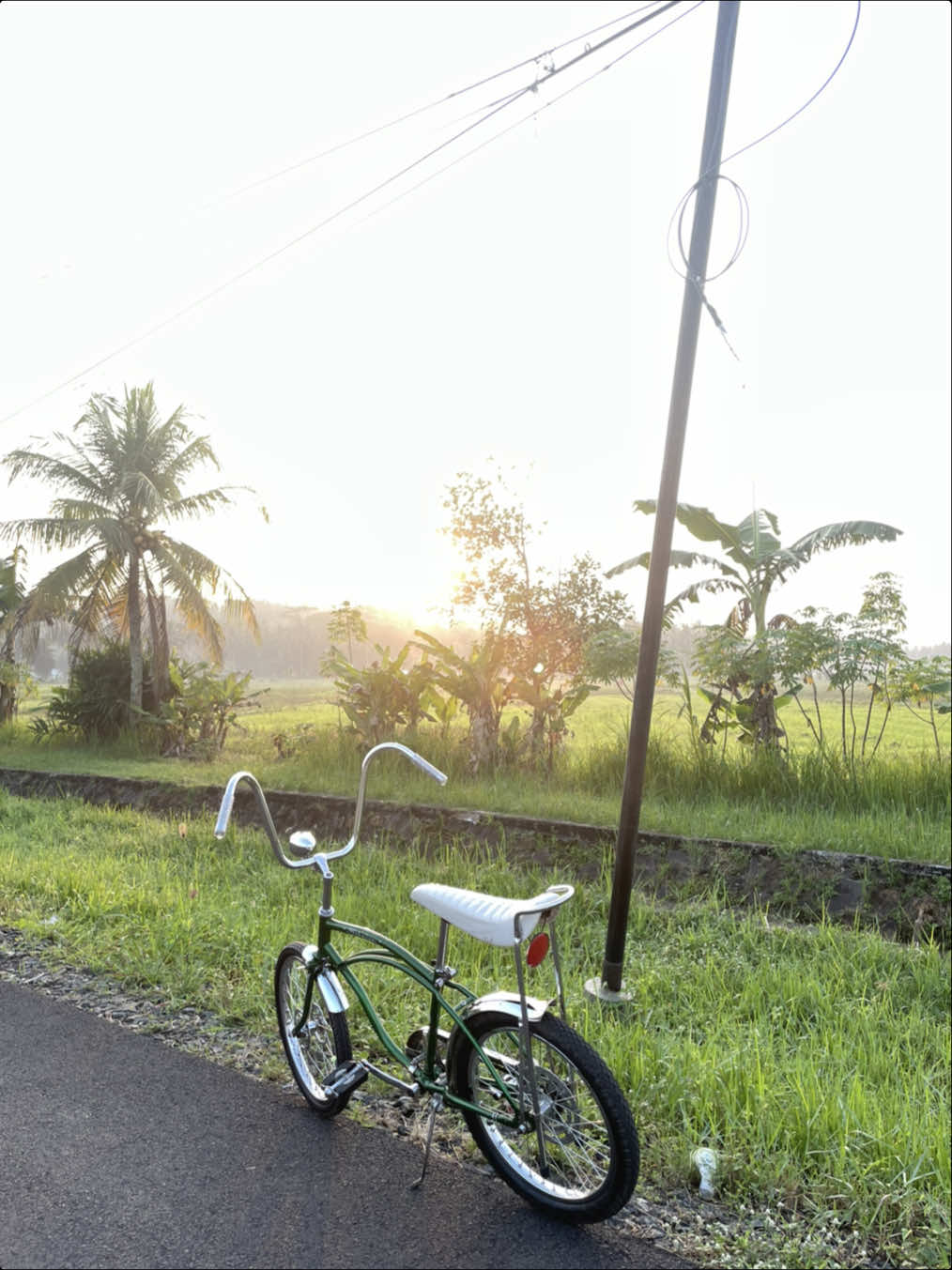 🍃 #sepeda #sepedalowrider #sepedakalcer 