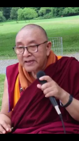 #creatorsearchinsights #tending #foryou #foryoupage❤️❤️ #lama kheno