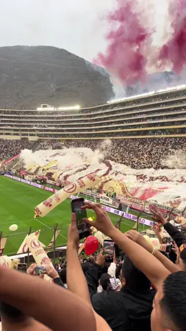 Pase lo que pase💛universitario, equipo de mis amores 💛#universitario #monumental #norte #fyp #paratii 