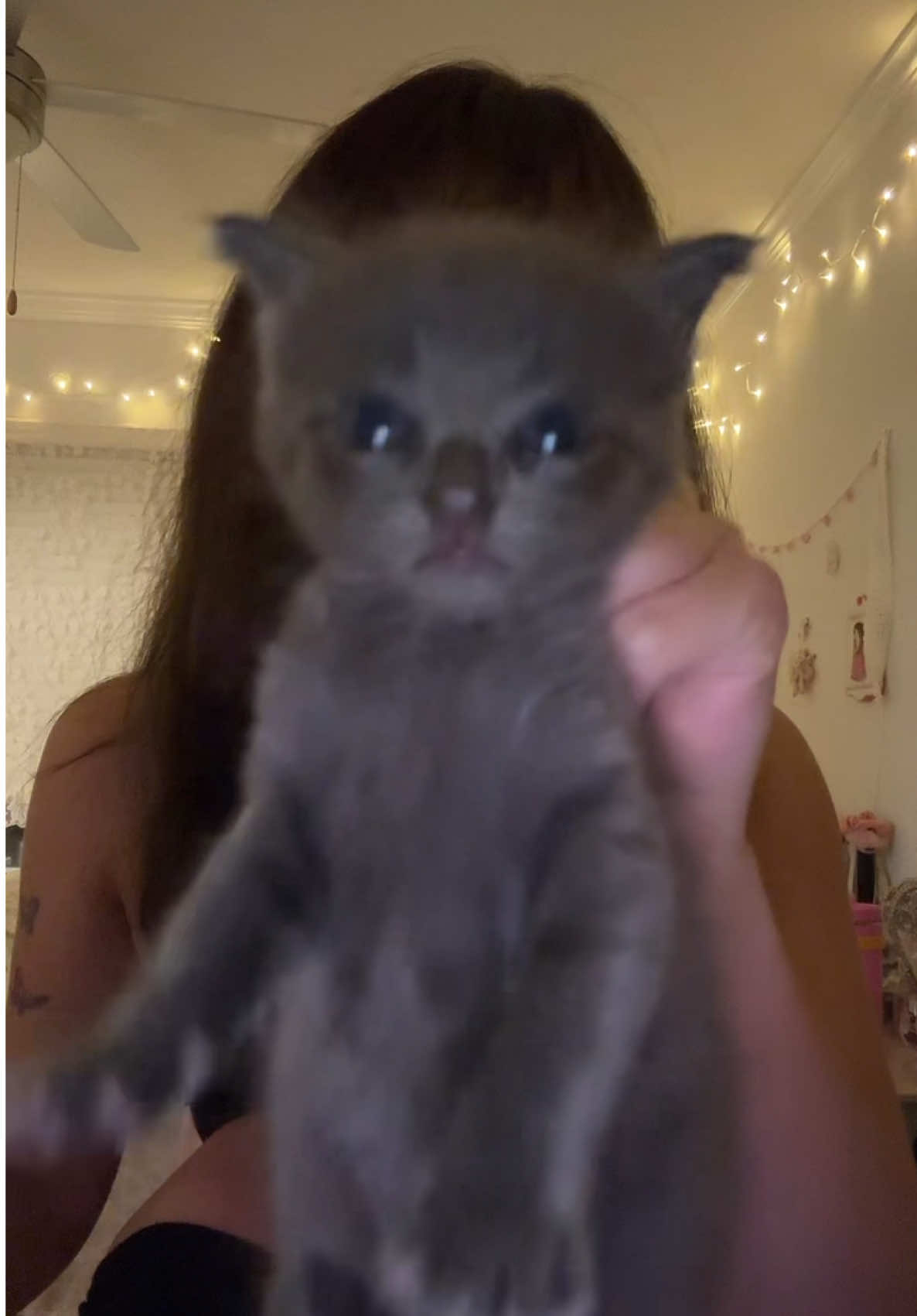 guys he begs to be held like this idk why 