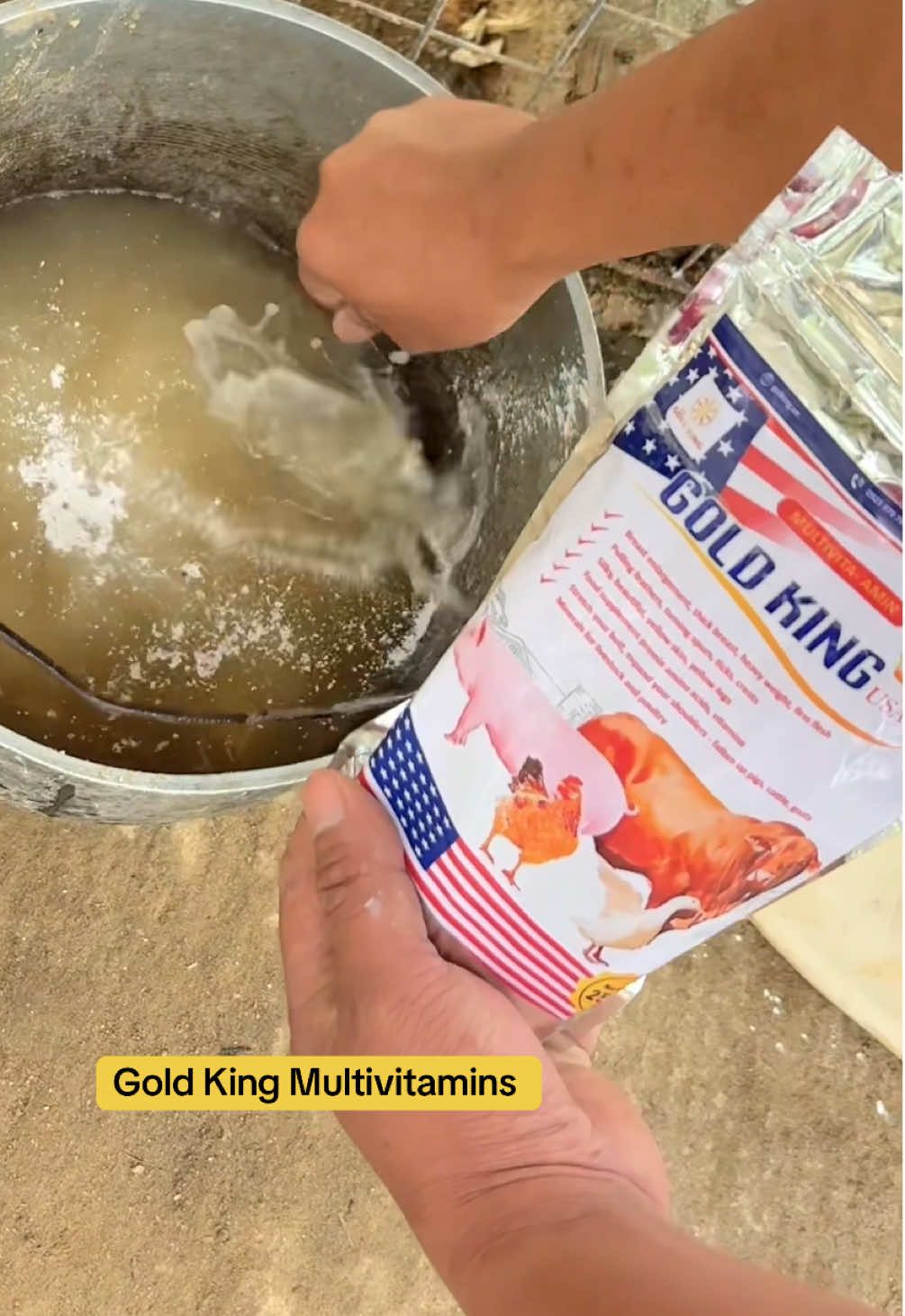 Masasabi ko talagan humiyang ang mga alaga ko sa GOLD KING MULTIVITAMINS USA nato at fda approved na rin🤩🐷 #goldking #multivitamins #piggeryfarm #piggery #piggerybusiness #piglet #pigs #multivitamin #goldking #foryou #fyp #trending #viral 