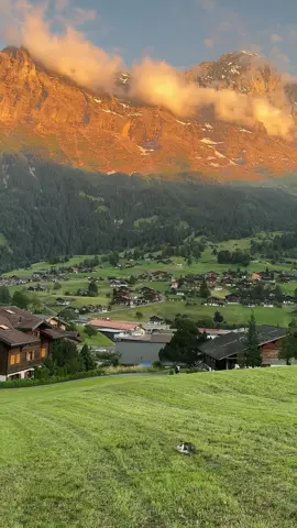 A country where people reject money#switzerland #life 