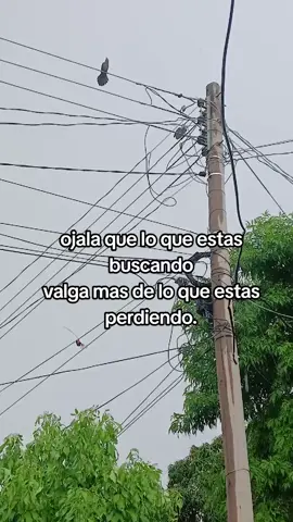 .final#❤️‍ 
