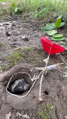 Survival Skills： SMART idea and USEFUL   #bushcraft #camping #outdoors #i (1)