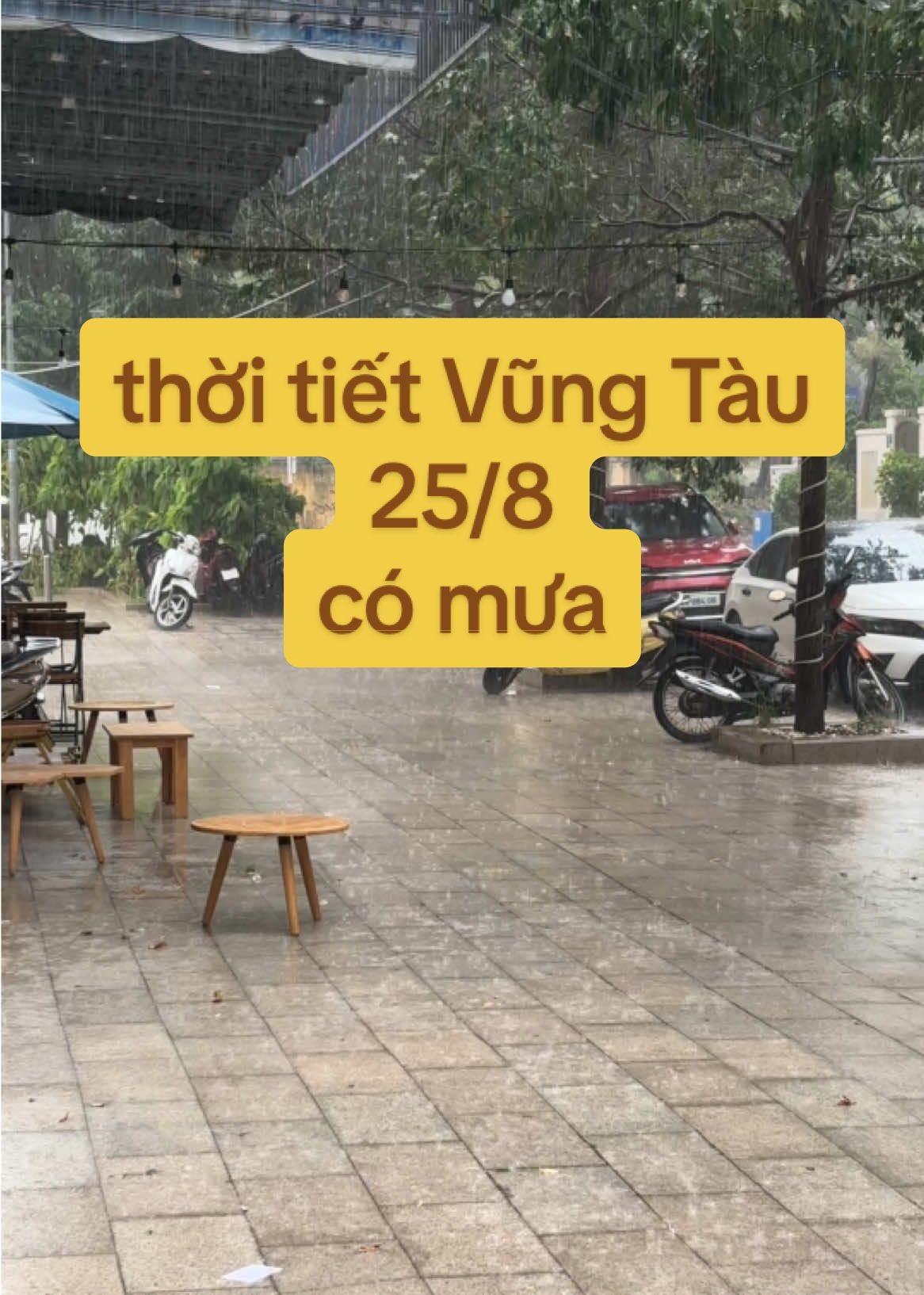 thời tiết Vũng Tàu hiện tại 25/8 mưa to #thoitietvungtau #thoitietvungtauhomnay #dulichvungtau #baisauvungtau🏖🏖🏖🌅🌅🌅 #thoitiethomnay 