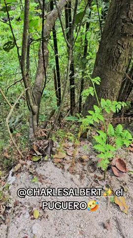 #viral #campo #videoviral #tiktok #humor 