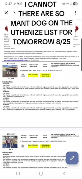 This is truly unbelievable. Humanity is failing. It is failing eachother, the animals,  the land. All we do is hurt.  The amount of dogs that are being unalived daily doesn't even compare to the amount that are being brought in, dumped, abused. Animals have feelings Ai dont care what anyone says. They feel. And these dogs know where they are and what is going to happen to them.  ADOPT FOSTER SHARE DO BETTER City of San Antonio Animal care services  email ACSADOPTIONS@SANANTONIO.GOV  (210)207-4738 4710 State Hwy 151 San Antonio, TX 78227 #disappointed #dobetter #bebetter #dontshopadopt🐾  #banalldogbreeders 