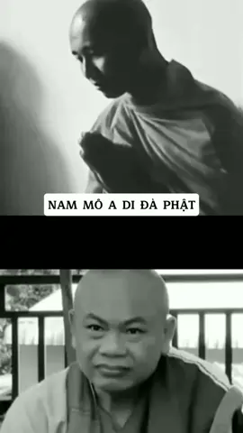 #laotuso #tuvi #phongthuy #xuhuong 