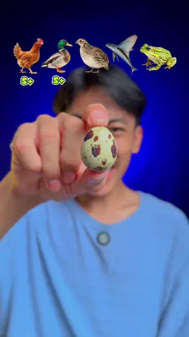 Makan aneka telur🪺 #egg #food #funny #makan #mukbang 