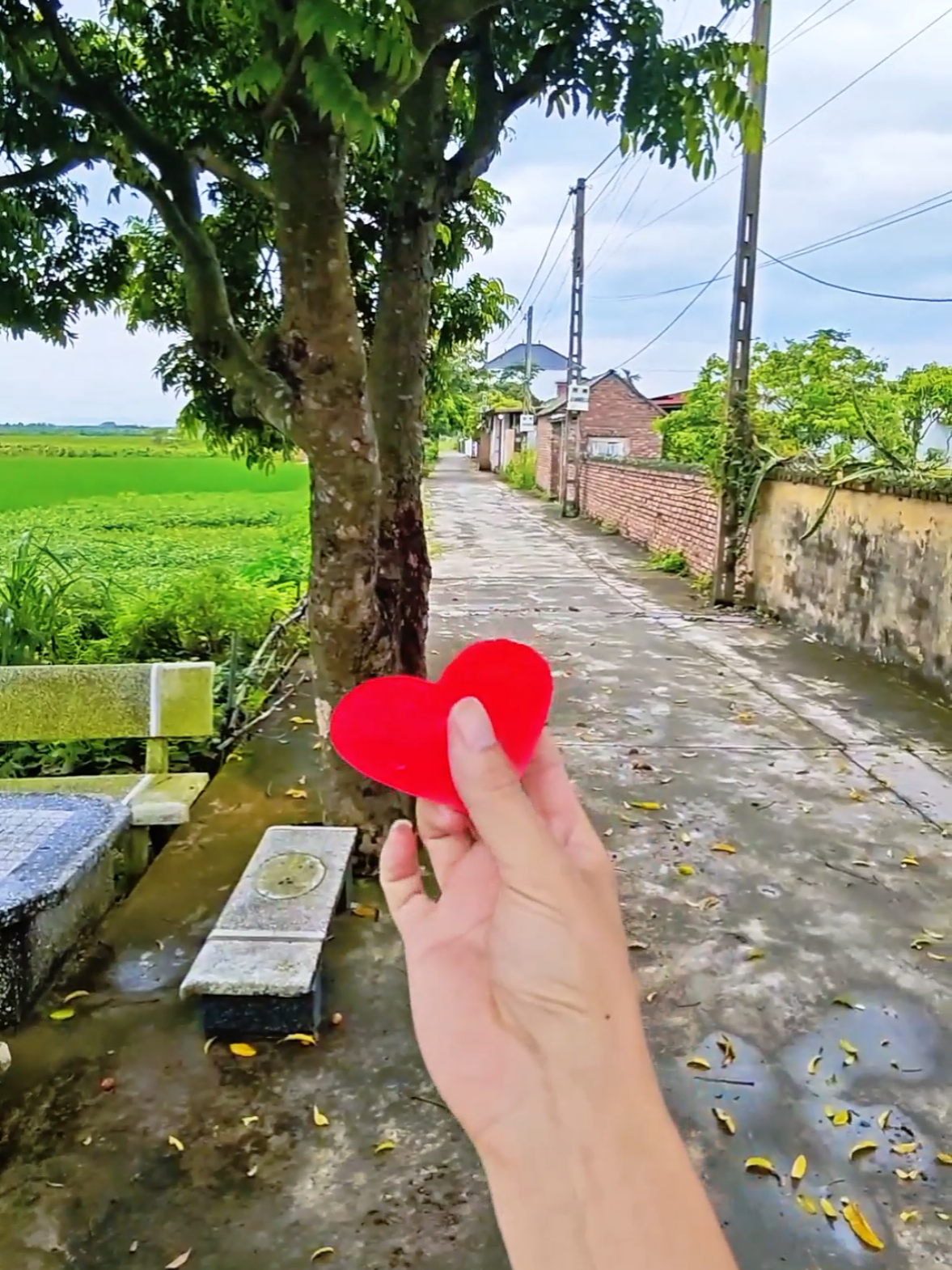 Anh đi tìm hạnh phúc mà sao không thâý đâu...Chỉ toàn ôm lỗi sầu... #xuhuong#emditimhanhphuc#viral#thinhhanh#rykertran 