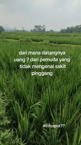 bungah ra kudu duit, suket koyo ngono we ws gawe bungah 😅 #sobatngaret #ngarit #fyp 