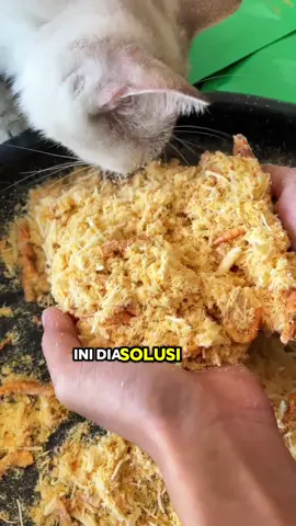 Anabul kamu suka ninggalin makanannya? 🍽️😿 Itu tandanya dia bosen sama rasa yang itu-itu aja! Coba deh kasih Pawzio Krill & Chicken Shreds 🐟🍗✨ Snack premium dari ayam suwir, udang, dan kuning telur yang bisa jadi topping dry food atau campuran soup. Rasanya gurih, wangi alami, bikin anabul jadi lahap dan piring pasti licin tanpa sisa 😻👌. Sekarang, nggak ada lagi drama makanan kebuang percuma. Anabul happy → kamu juga lebih hemat! 💕 #pawziocats #pawziolovers #pawziocatclub #snackkucing #makanankucing #pawziocatfood #kucingindonesia #catloversindonesia #catsoftiktok #fyp 