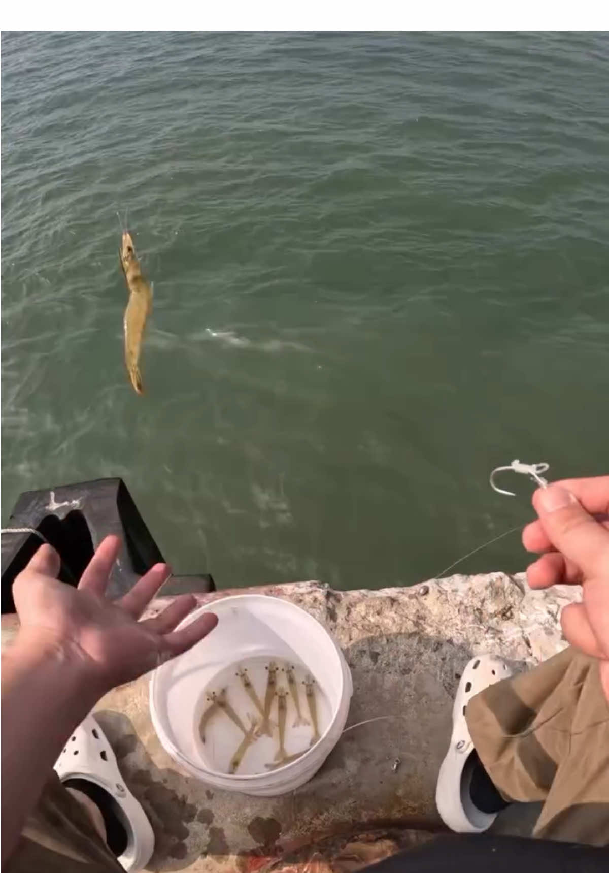 🎣Thả mồi biển lớn ,cá đến không ngừng #câucá  #caucagiaitri  #caucatunhien  #caucabien  #caucagiaitri🎣 