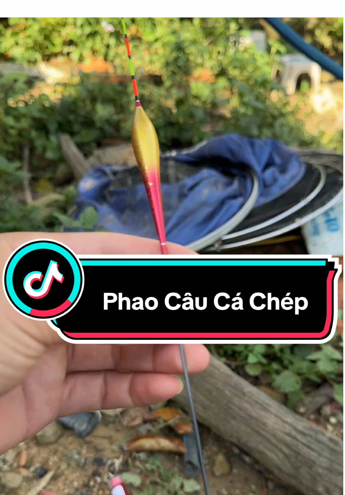 Phao Câu Chép Mỹ Nhân Ngư #caucagiaitri #cauca #ngovanquan68 