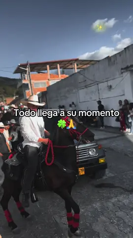 #viraltiktok #fyp #toyota #caballos 