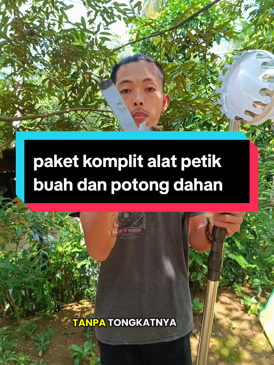 Membalas @mobilejen_idbisa banget ya kalo COD paket lengkap. tongkat pemetik buah #tongkatpemetikbuah #tongkatpetikbuah #petikbuah #potongdahan #panenbuah 