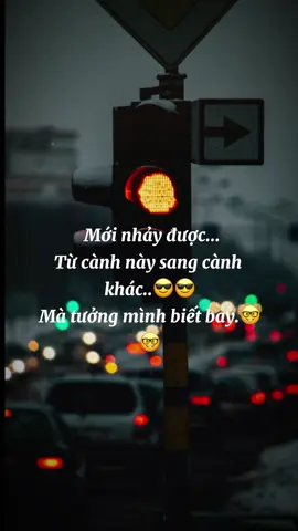 Mới nhảy được... Từ cành này sang cành khác...#caunoihay #suyngam #stt_ #songcham #buon 
