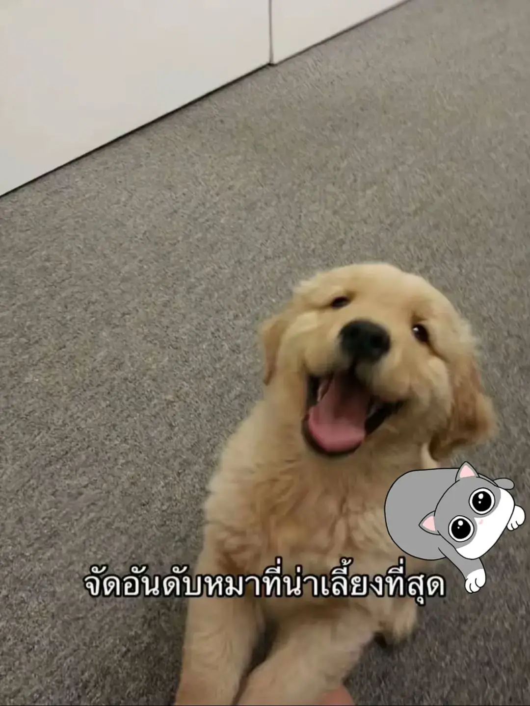 #paratiiiiiiiiiiiiiiiiiiiiiiiiiiiiiii 