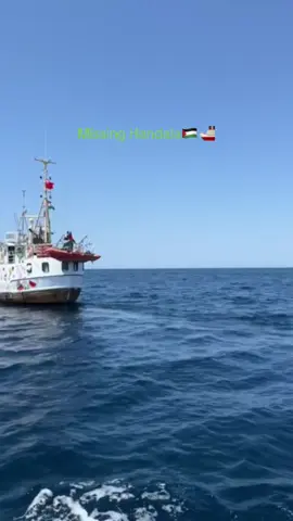 #freepalestine #handala We will keep sailing until Palestine gets its freedom 🛳️🇵🇸 @Canadian Boat to Gaza @Gaza Freedom Flotilla 