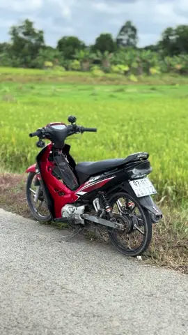 #siriusđộkiểng #xuhuongtiktok #tplm #pxl #ytb 