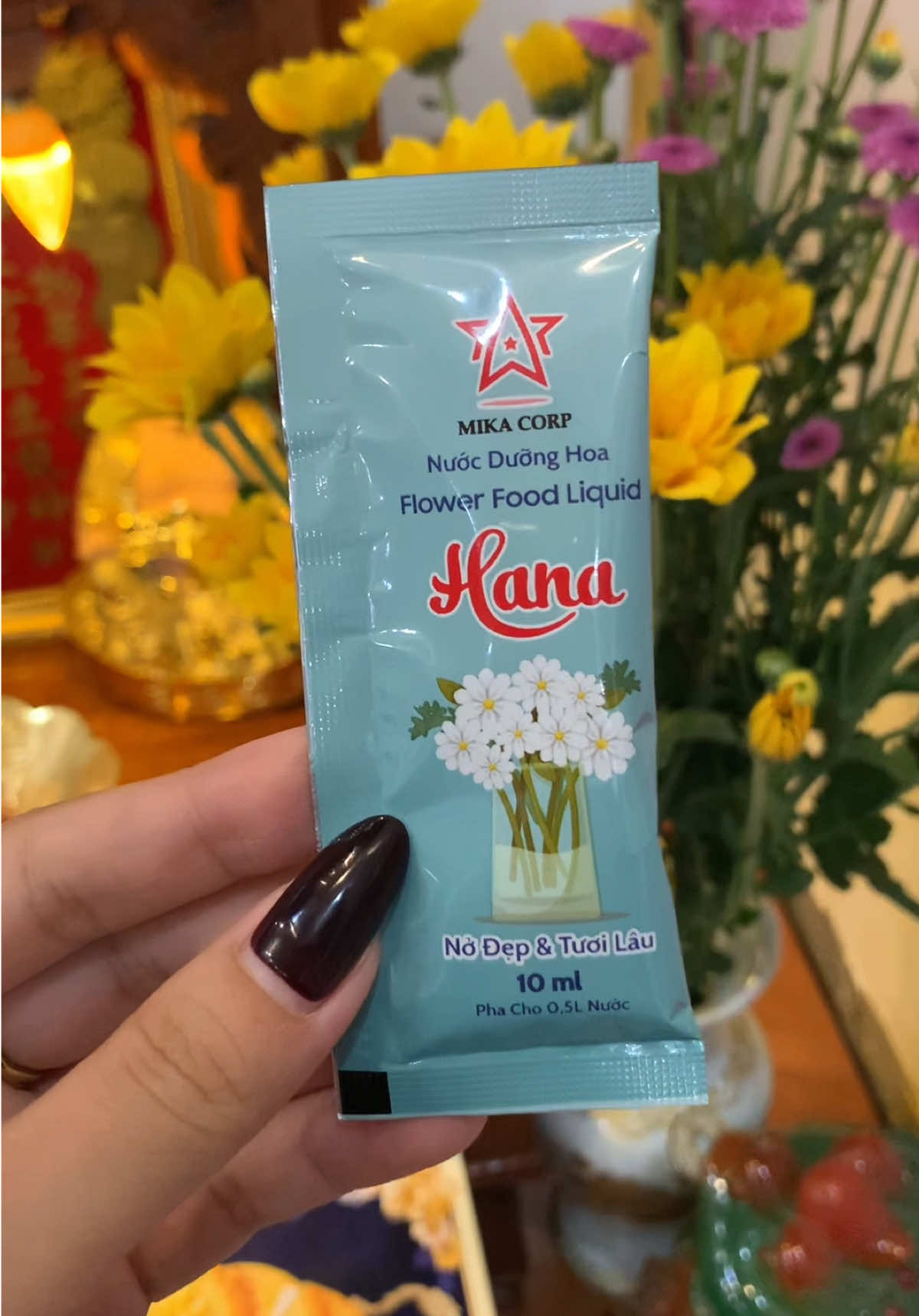 Cho gói này vào là hoa để được cả nửa tháng, cánh hoa nở căng đều, lá tươi xanh mà đặc biệt là nước không hề bị thúi đâu mấy c ơi  @Thị Hồng Nhung  @Thị Hồng Nhung  #nuocduonghoa #nuocduonghoatuoilau #nuocduonghoahana #camhoa 