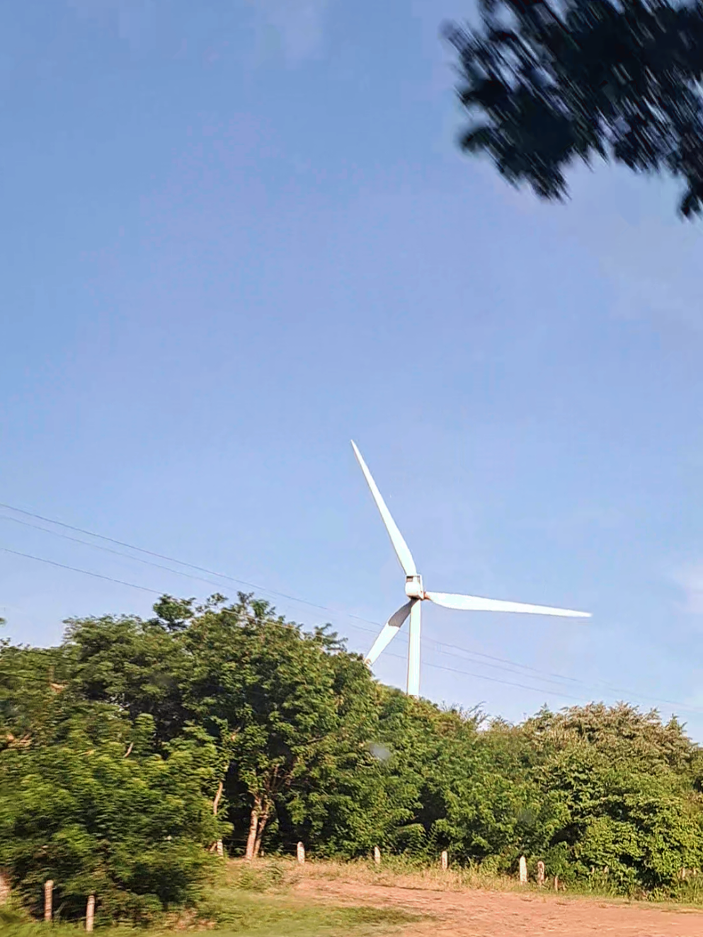 Pasando por el parque eólico de Rivas #eolico #rivas #nicaragua #laurapausini #roadtrip 