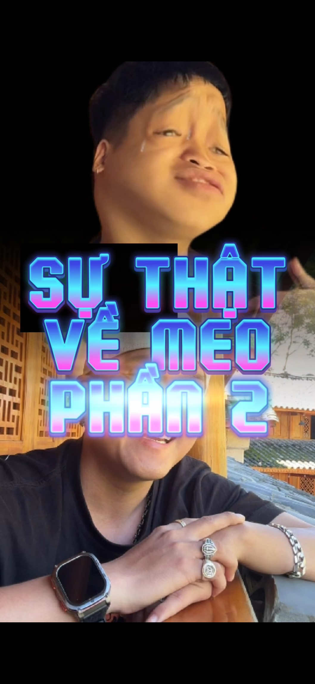 Phần 2. Sự thật về @Meo thử việc 