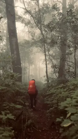 Serasa di alam lain ya  #argopuromountain #argopuro #gunungargopuro #promoseruweekend 
