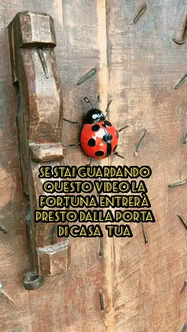 buona fortuna a tutti voi  lasciate un like interagendo #perte #fyp #tarot #oroscopo #witch 