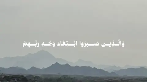 القران الكريم#اكتب_شي_توجر_عليه #القرآن_الكريم #تلاوة_خاشعة #محمد_ايوب #اللهم_انك_عفو_تحب_العفو_فاعف_عنا 