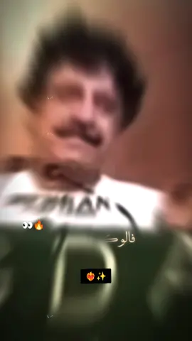 #CapCut #sain_sadar_din_shah_rashdi #pmlfsindh #faryoupage #faryou 