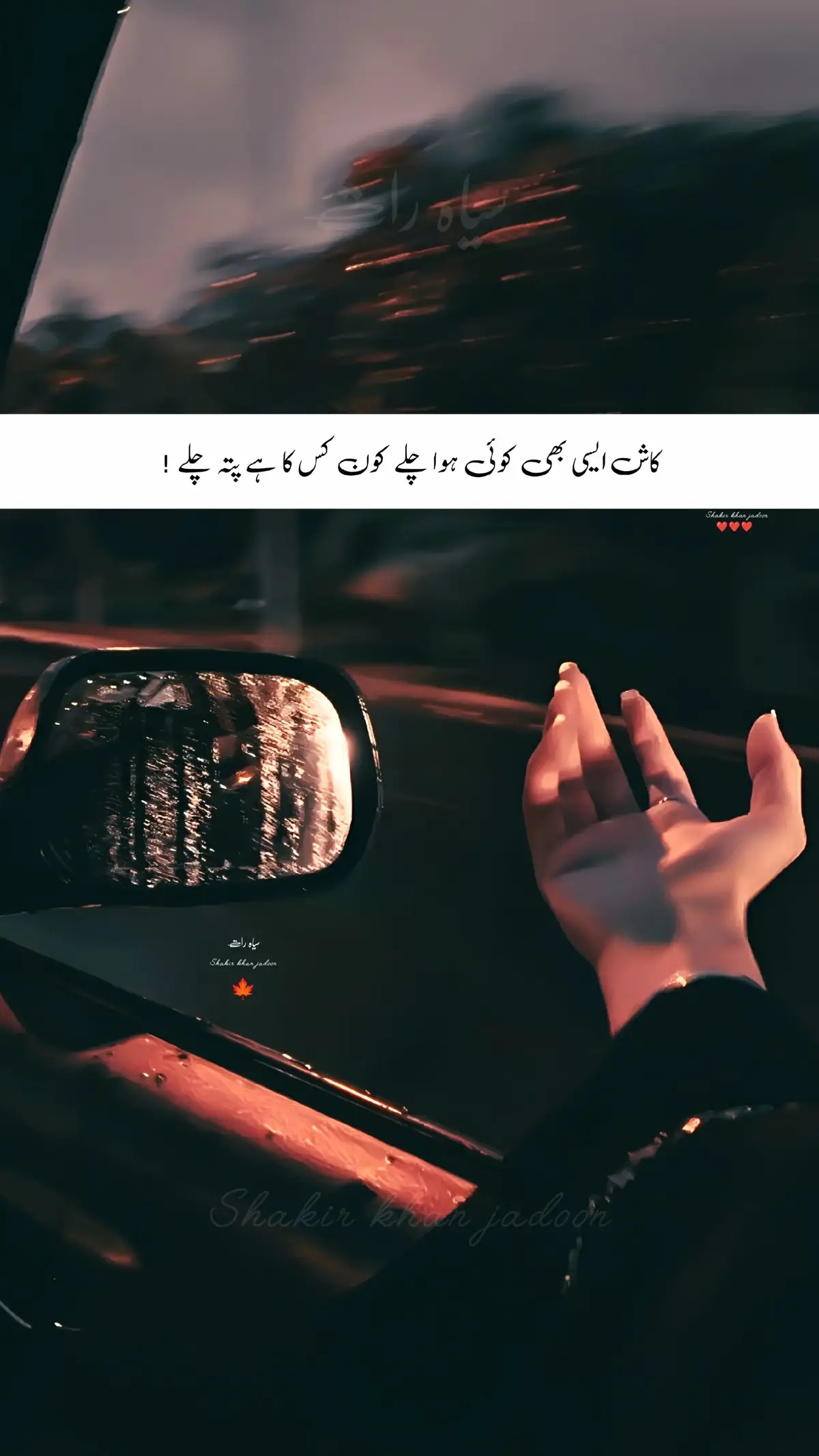 #creatorsearchinsights  #tiktok #flypシ  💛❤️💚💜💙