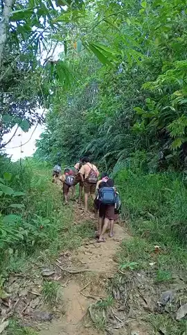 Anak Sekolah Pedalaman harus melewati hutan dan jalanan tanah untuk pergi kesekolah, namun semangat nya luar biasa #pelosoknegeri #anaksekolahan 