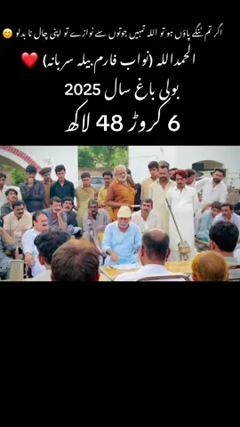 #onthisday #nawab_mujtaba_surbana #نواب_فارم_بیلہ_سربانہ #foryou 