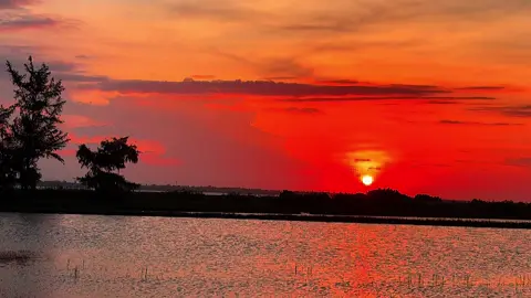 Đến một lúc nào đó, chúng ta cũng phải tập gượng cười để che đậy những vết thương. Cái giá của sự trưởng thành, là bản thân phải mang rất nhiều vết xước, rồi phải tự mình chữa lành…! Rồi ai cũng sẽ ổn theo cách của riêng mình mà thôi…!!!