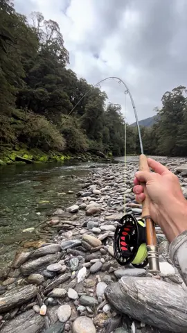Another #browntrout from the #newzealand #westcoast 