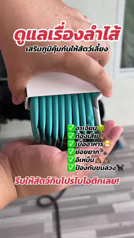 เช็คด่วน!! ถ้ามีอาการเหล่านี้รีบกินเลย #โปรไบโอติกสัตว์เลี้ยง #หมาแมว #หมาป่วยลําไส้อักเสบ #สุขภาพหมาแมว #หมาเบื่ออาหาร 