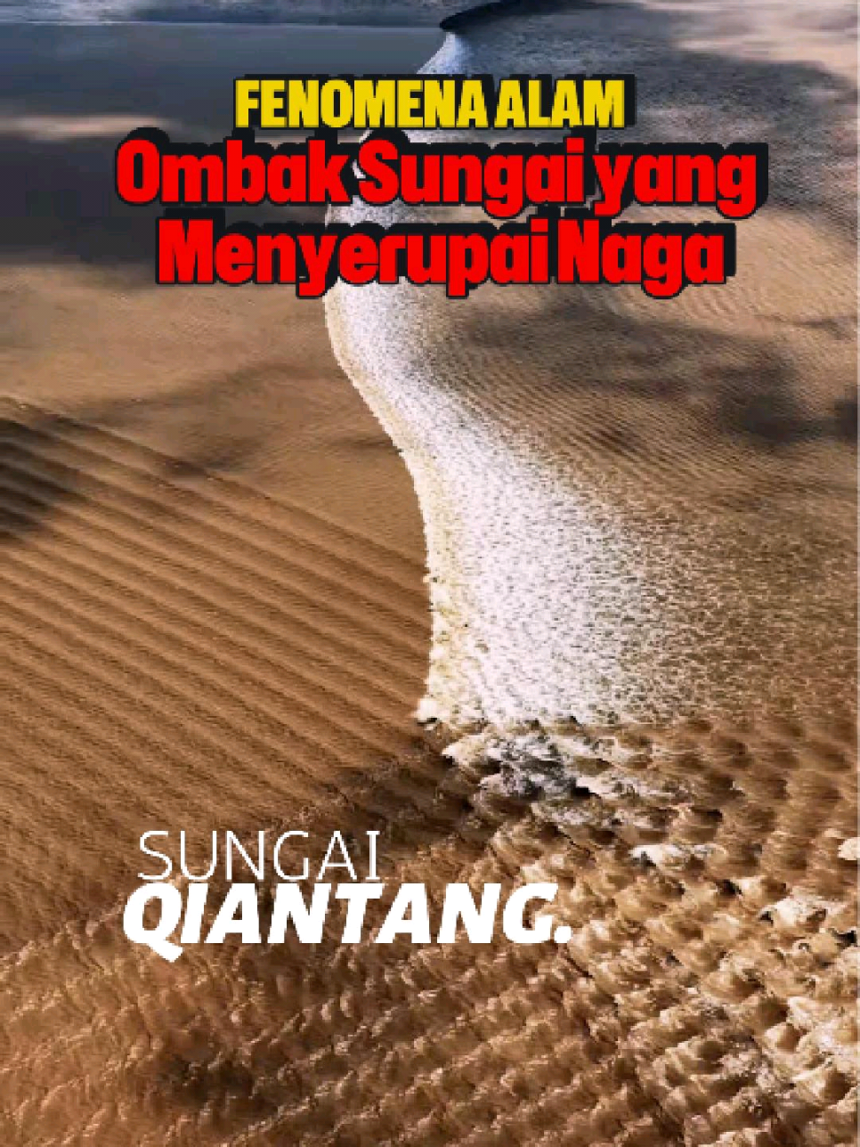 Ketika ombak bertemu, terciptalah pola indah layaknya naga perak 🐉🌊 Fenomena ini hanya bisa kamu lihat di Sungai Qiantang, Tiongkok – pasang surut terbesar di dunia yang berubah jadi tontonan alam spektakuler! ✨ Indah tapi juga berbahaya, ombak ini bisa mencapai tinggi 9 meter dan melaju lebih dari 40 km/jam. Fenomena luar biasa yang bikin kita kagum dengan kekuatan alam.