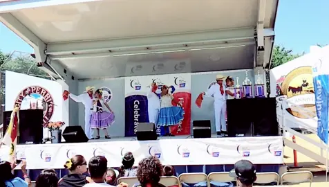 “LA VOLADORA” 2016 #dancing #zapateado #folkloricodancers #neiyaarts #bailando 