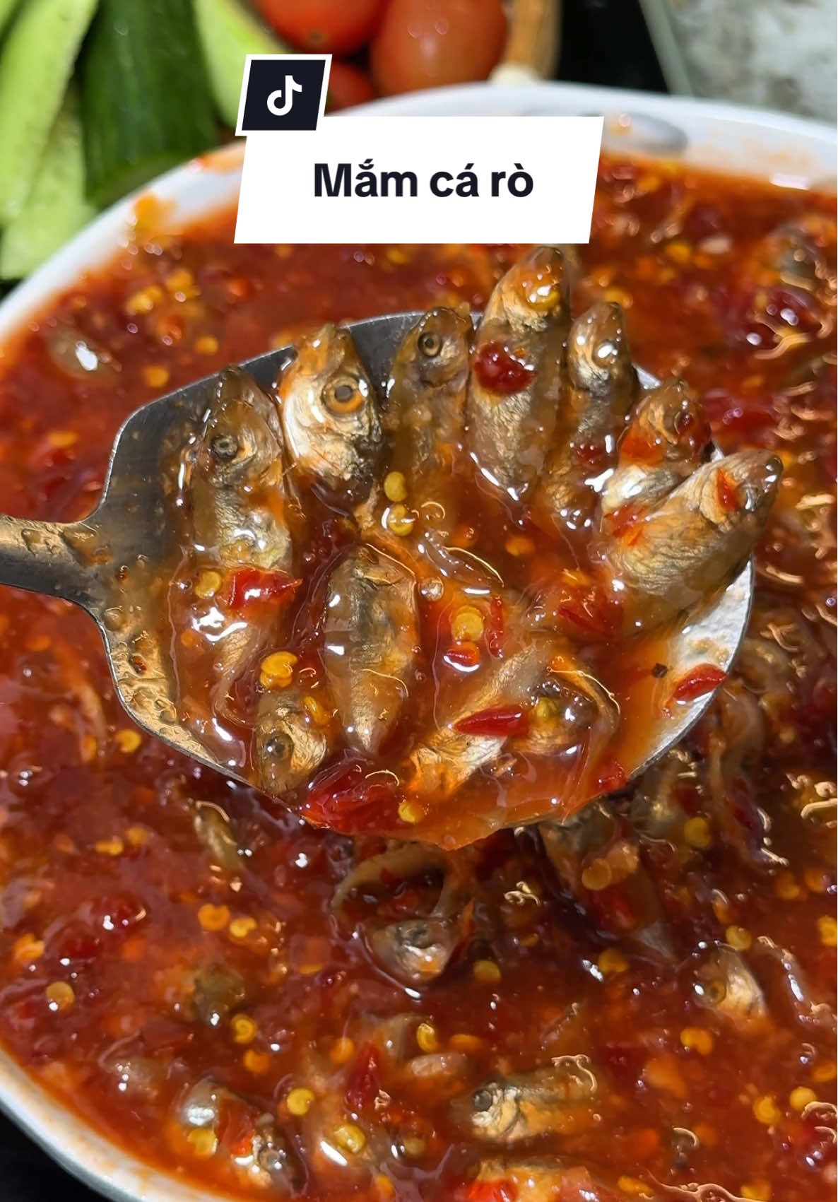 Mắm rò đặc sản chấm thịt luộc #lemhayanvat #review #mamro #mamrohue #mukbang 