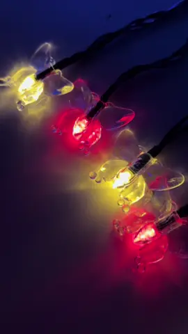 Butterfly Solar Stings Lights Perfect for Outdoor design🥰✨#christmasdecor #waterproof #automatic #outdoordesign #solar #verynice #fyppppppppppppppppppppppppppppppppppppシ🦋 