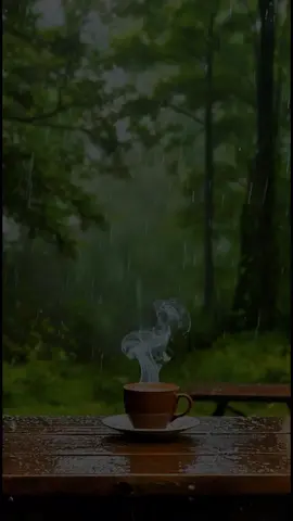 Invocation du matin  #invocation #islamic_video #viralvideo #motivation #templatecapcut 