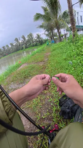 Bão số 5 đi kiếm miếng ăn 😁😁