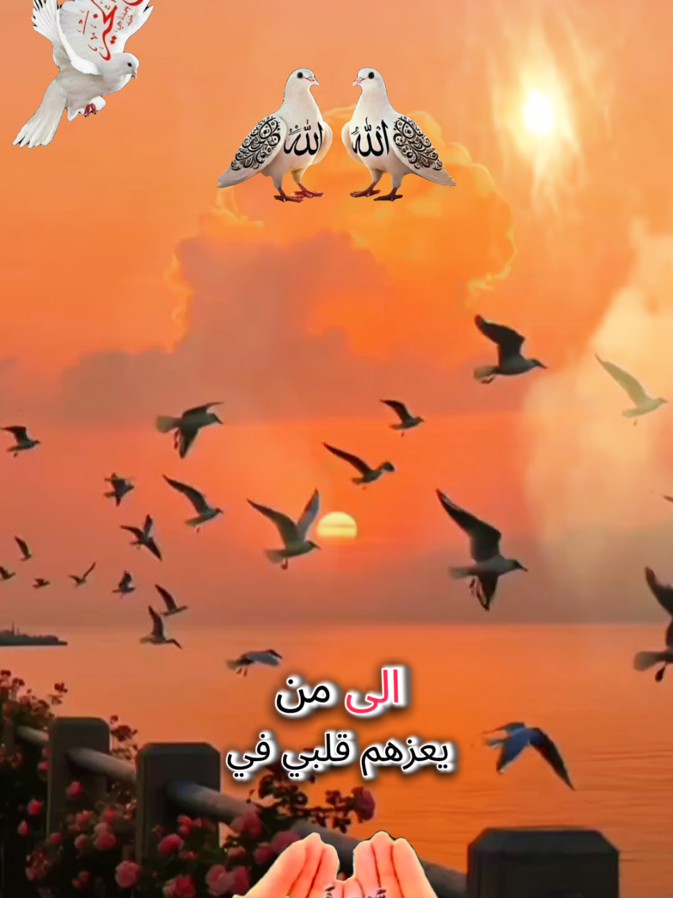 الى من يعزهم قلبي في هذا الصباح اسال الله باسط الارض ورافع السماء 25/08/2025 دعاء يوم الأثنين 🙏🙏🙏🌹 اللهم في يوم الأثنين 🌷🌷🌷 # #دعاء_يوم_الاثنين #صباح_الخير   #اللهم_لك_الحمد_ولك_الشكر #اللهم_صلي_على_نبينا_محمد #اللهم_امين_يارب_العالمين       الى_من_يعزهم_قلبي_في_هذا_الصباح  حكم_أخ_# صباح_لى_صباح 🌹🌹  