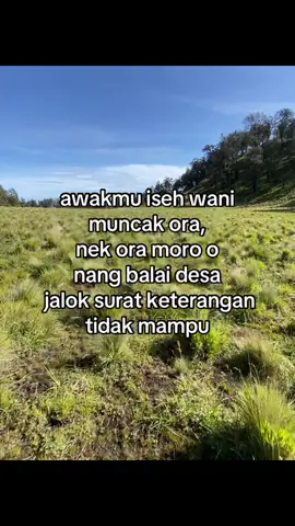 terno balai desa. #fyp #muncakgunung #pendakifomo #berandagak 