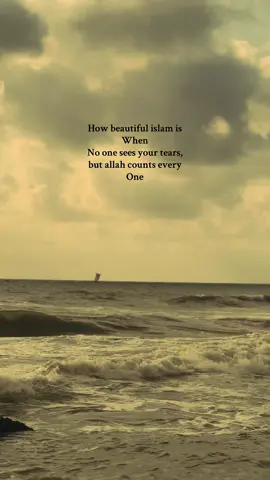 🤍#islamic_video #islamicreminder #trustallah #fyp #motivation 