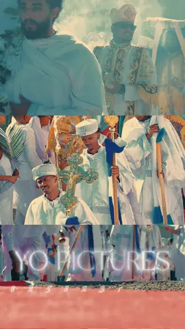 #creatorsearchinsights #habeshatiktok #eritreantiktok🇪🇷🇪🇷habesha #ethiopian_tik_tok🇪🇹🇪🇹🇪🇹🇪🇹 #tigraytiktok🇻🇳🇻🇳tigraytiktok 