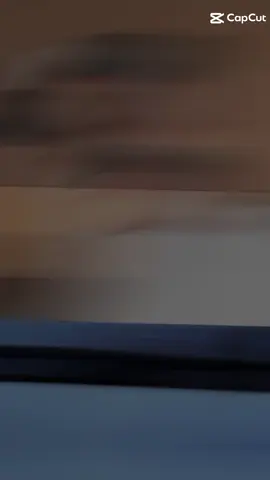 #fypppppoppppppppppppppppシ 