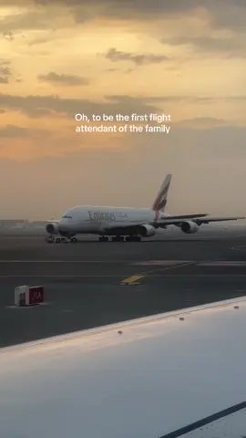 The best job in the world✈️✨#flightattendant #aviation #emirates #fyp 